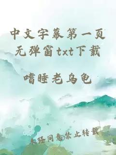 中文字幕第一頁無彈窗txt下載