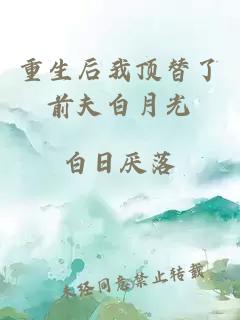 重生后我頂替了前夫白月光