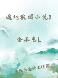 遍地狼煙小說2