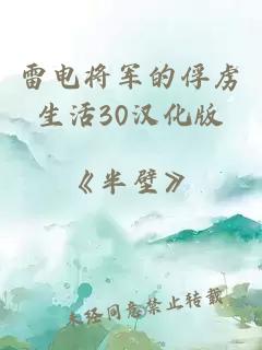 雷電將軍的俘虜生活30漢化版