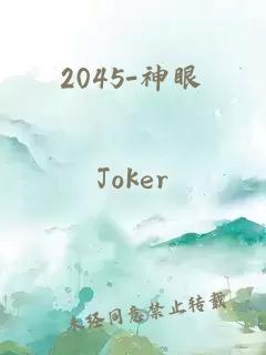 2045-神眼